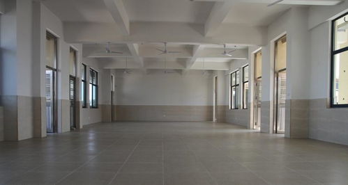 東莞又有新的 網(wǎng)紅打卡點 馬上免費開放